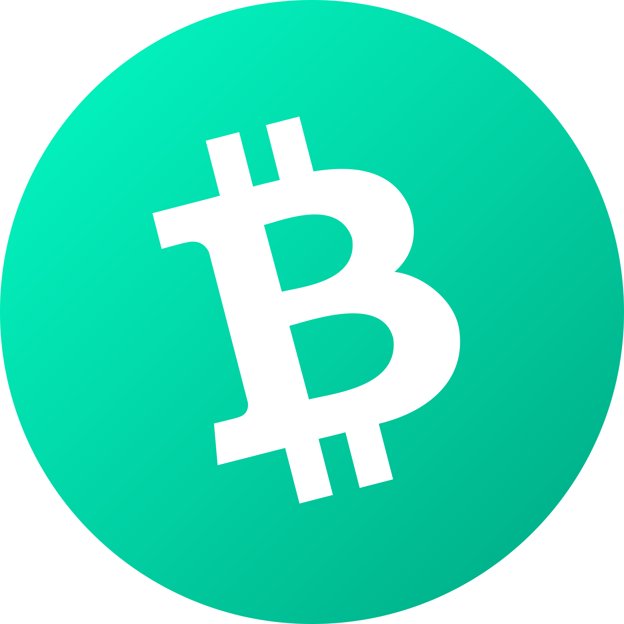 Bitcoin Cash logo